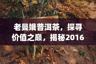 2025年2月20日 第3页