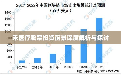 禾医疗股票投资前景深度解析与探讨