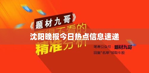 沈阳晚报今日热点信息速递