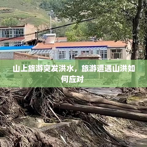 山上旅游突发洪水，旅游遭遇山洪如何应对 