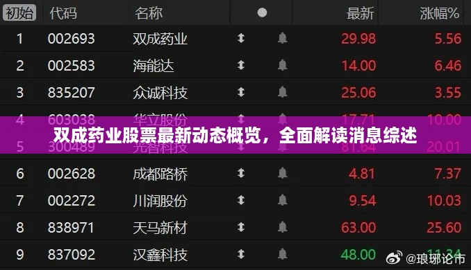双成药业股票最新动态概览，全面解读消息综述