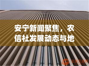 安宁新闻聚焦，农信社发展动态与地方深远影响