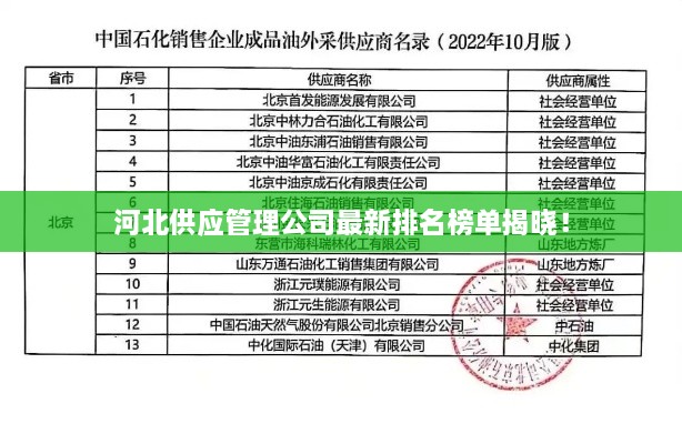 河北供应管理公司最新排名榜单揭晓！