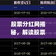 股票分红网揭秘，解读股票分红的深层奥秘