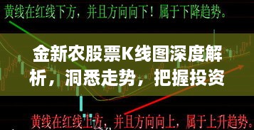 金新农股票K线图深度解析，洞悉走势，把握投资先机