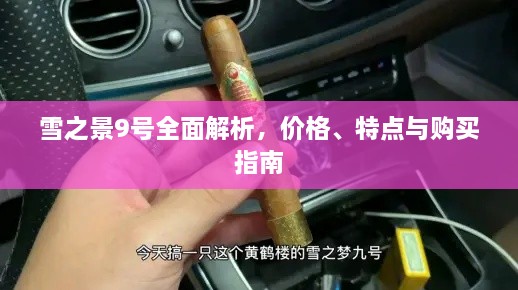 雪之景9号全面解析，价格、特点与购买指南