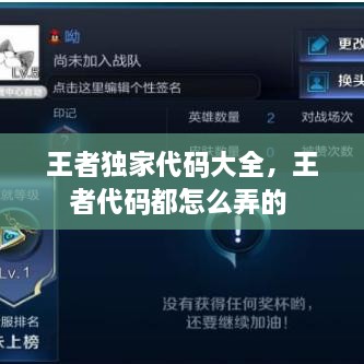 王者独家代码大全，王者代码都怎么弄的 