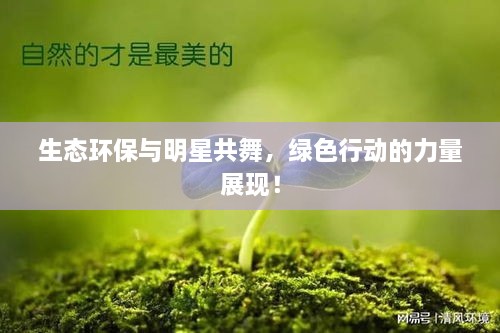 生态环保与明星共舞，绿色行动的力量展现！