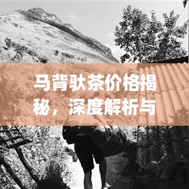 马背驮茶价格揭秘，深度解析与探讨