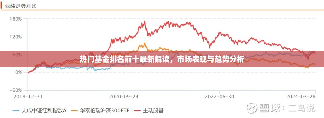 热门基金排名前十最新解读，市场表现与趋势分析