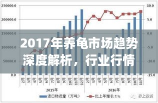 2017年养龟市场趋势深度解析，行业行情展望