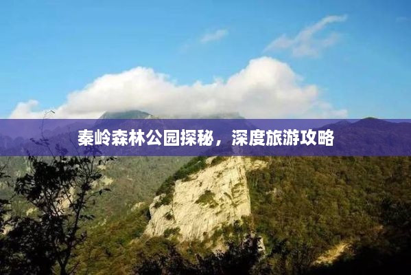 秦岭森林公园探秘，深度旅游攻略