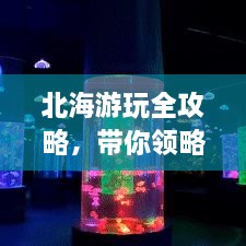 北海游玩全攻略，带你领略独特魅力，畅游无忧！