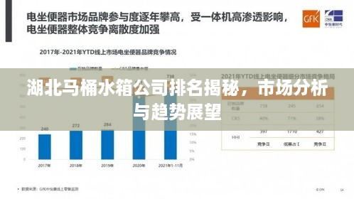 湖北马桶水箱公司排名揭秘，市场分析与趋势展望