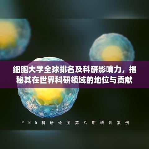 细胞大学全球排名及科研影响力，揭秘其在世界科研领域的地位与贡献