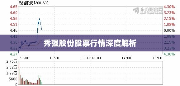 秀强股份股票行情深度解析