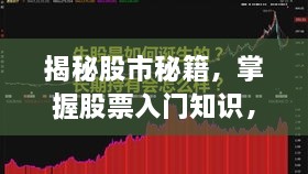 揭秘股市秘籍，掌握股票入门知识，关于代码为002561的股票投资指南！