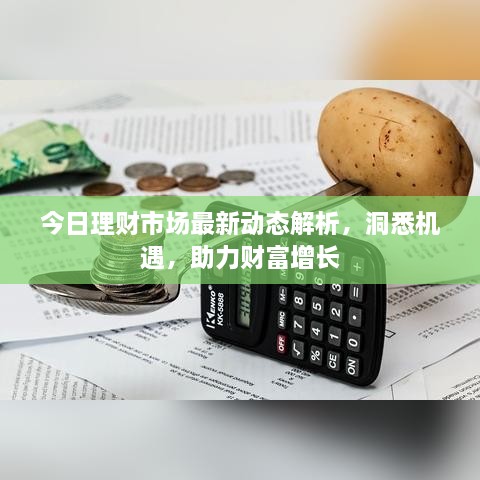 今日理财市场最新动态解析，洞悉机遇，助力财富增长