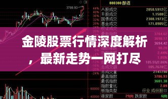 金陵股票行情深度解析，最新走势一网打尽