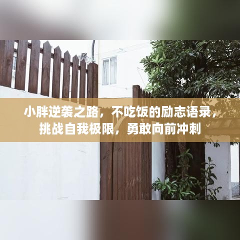 小胖逆袭之路，不吃饭的励志语录，挑战自我极限，勇敢向前冲刺