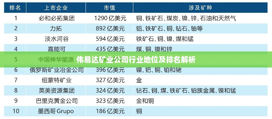 伟易达矿业公司行业地位及排名解析