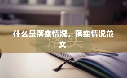 什么是落实情况，落实情况范文 