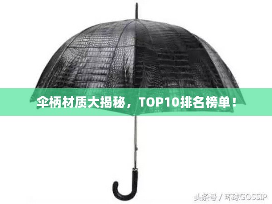 伞柄材质大揭秘，TOP10排名榜单！