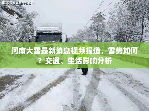 河南大雪最新消息视频报道，雪势如何？交通、生活影响分析