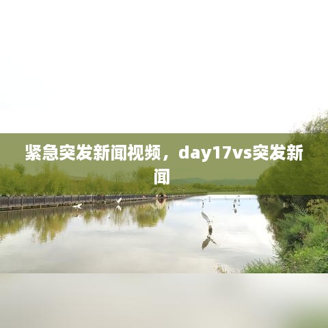 紧急突发新闻视频，day17vs突发新闻 