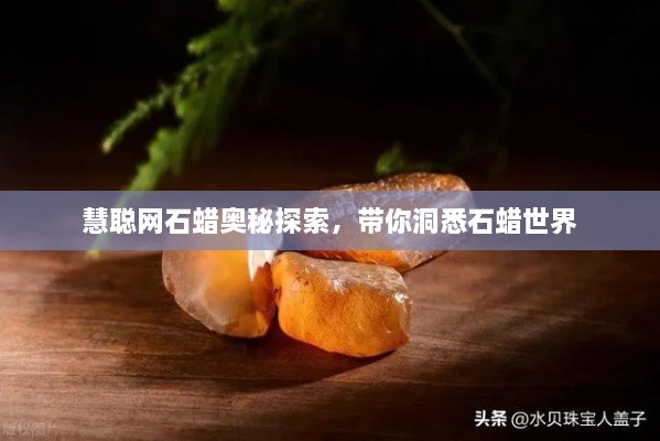 慧聪网石蜡奥秘探索，带你洞悉石蜡世界