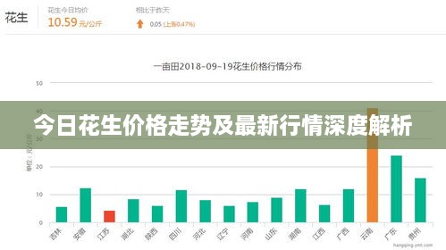 今日花生价格走势及最新行情深度解析