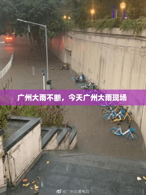 广州大雨不断，今天广州大雨现场 