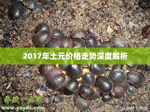 2017年土元价格走势深度解析