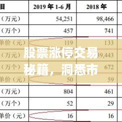 股票涨停交易秘籍，洞悉市场波动，轻松把握投资机会