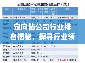 定向钻公司行业排名揭秘，探寻行业领军者的成功奥秘