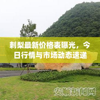 刺梨最新价格表曝光，今日行情与市场动态速递