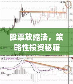 股票放缩法，策略性投资秘籍揭秘