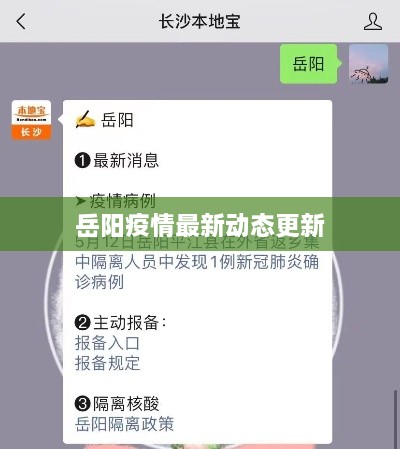 岳阳疫情最新动态更新
