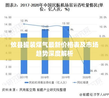 攸县罐装煤气最新价格表及市场趋势深度解析