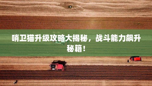 哨卫猫升级攻略大揭秘，战斗能力飙升秘籍！