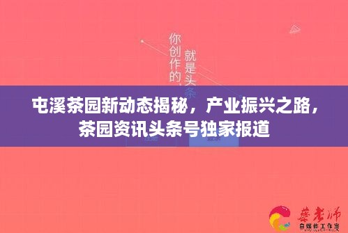 屯溪茶园新动态揭秘，产业振兴之路，茶园资讯头条号独家报道