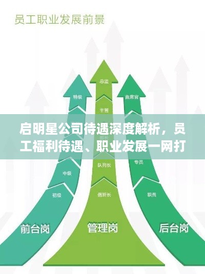 启明星公司待遇深度解析，员工福利待遇、职业发展一网打尽！