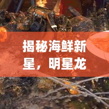 揭秘海鲜新星，明星龙虾探秘之旅！