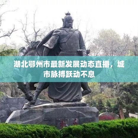 湖北鄂州市最新发展动态直播，城市脉搏跃动不息