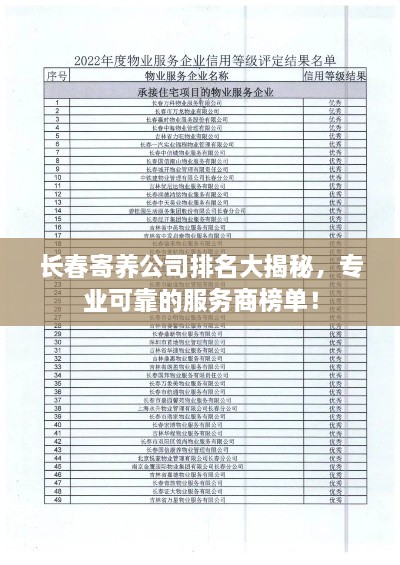 长春寄养公司排名大揭秘，专业可靠的服务商榜单！
