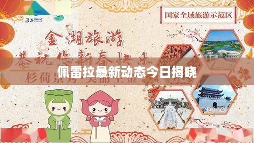佩雷拉最新动态今日揭晓