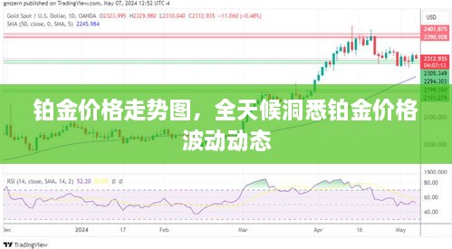 铂金价格走势图，全天候洞悉铂金价格波动动态